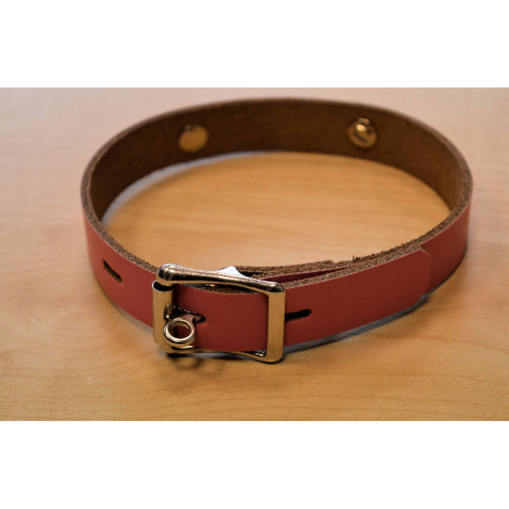 Leather Day Collar. Personalised. Pink. LOCKABLE