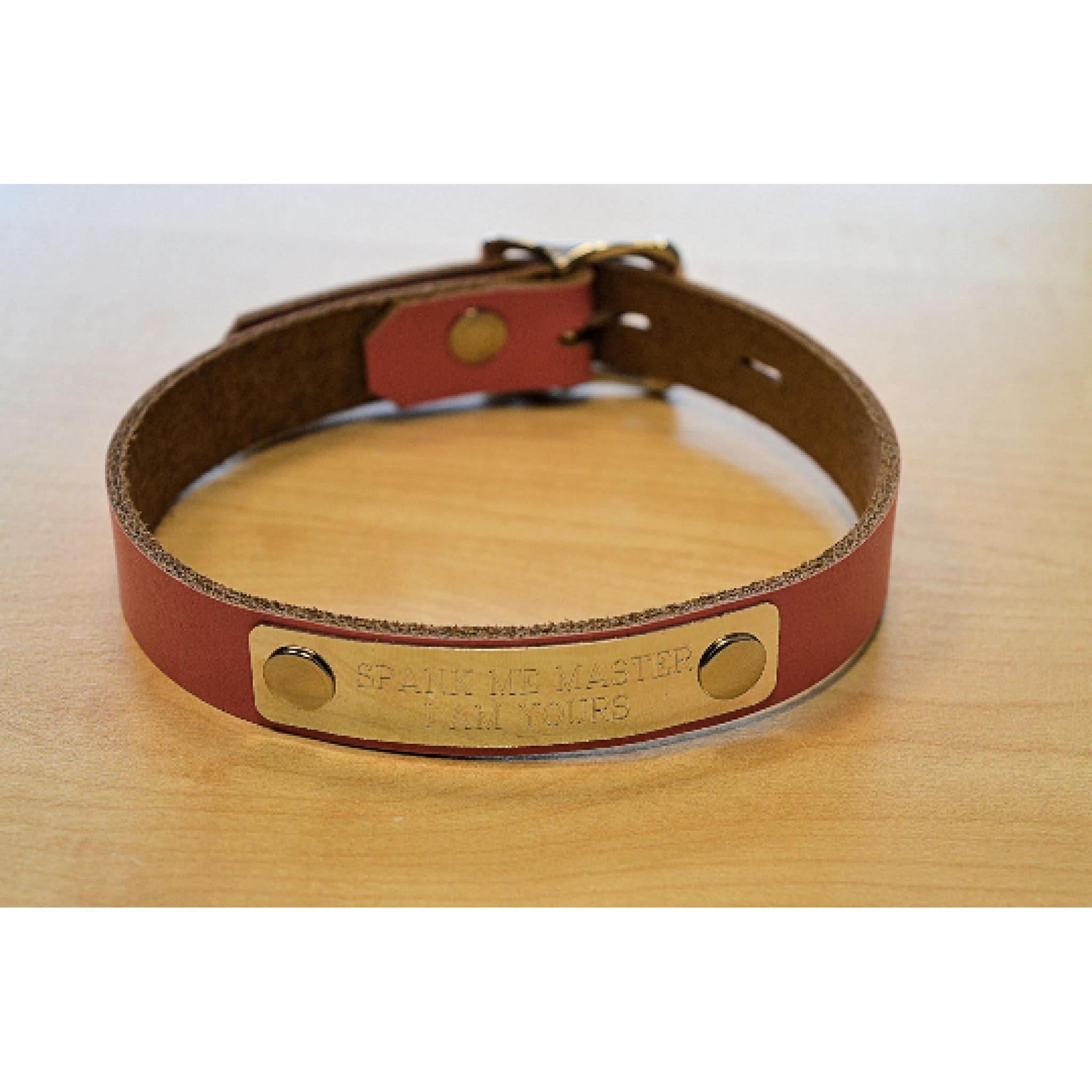 Leather Day Collar. Personalised. Pink. LOCKABLE
