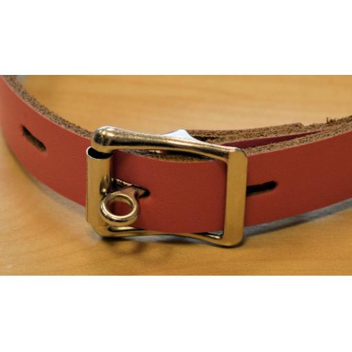 Lockable day collar (3).png