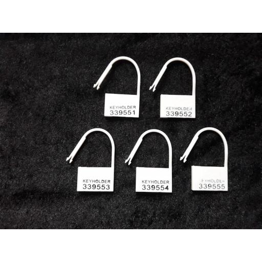 Disposable plastic locks for ultimate male chastity devices.