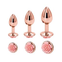 rose gold butt plugs (1).jpg